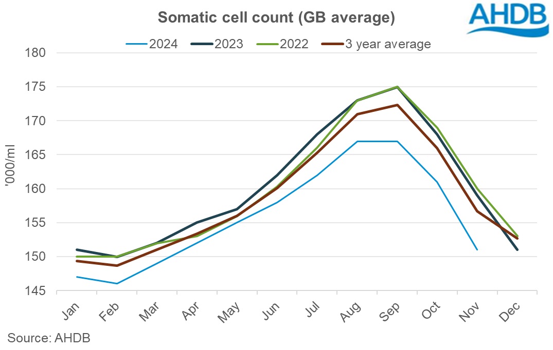 Niv 24 SCC graph 202411.